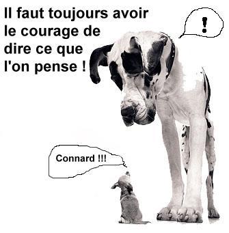 allez courage
